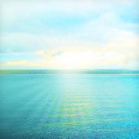 The Ecstasy of Now Album Cover